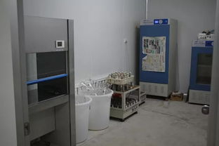 雙興新盛木耳菌包廠 優(yōu)質(zhì)菌包熱銷中，專業(yè)技術(shù)助力致富路